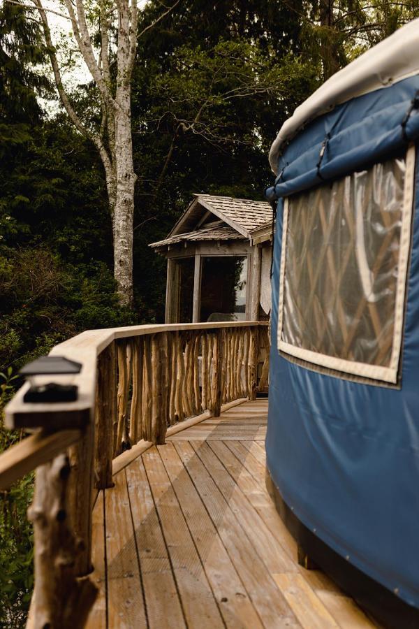 Lunar Cove Charters And Tours Tofino