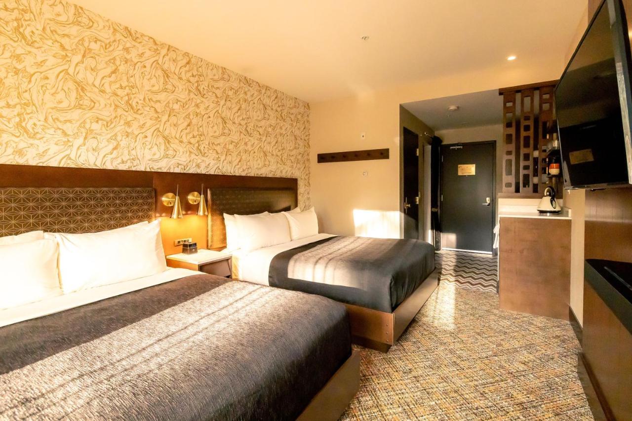 Zed 4* Tofino