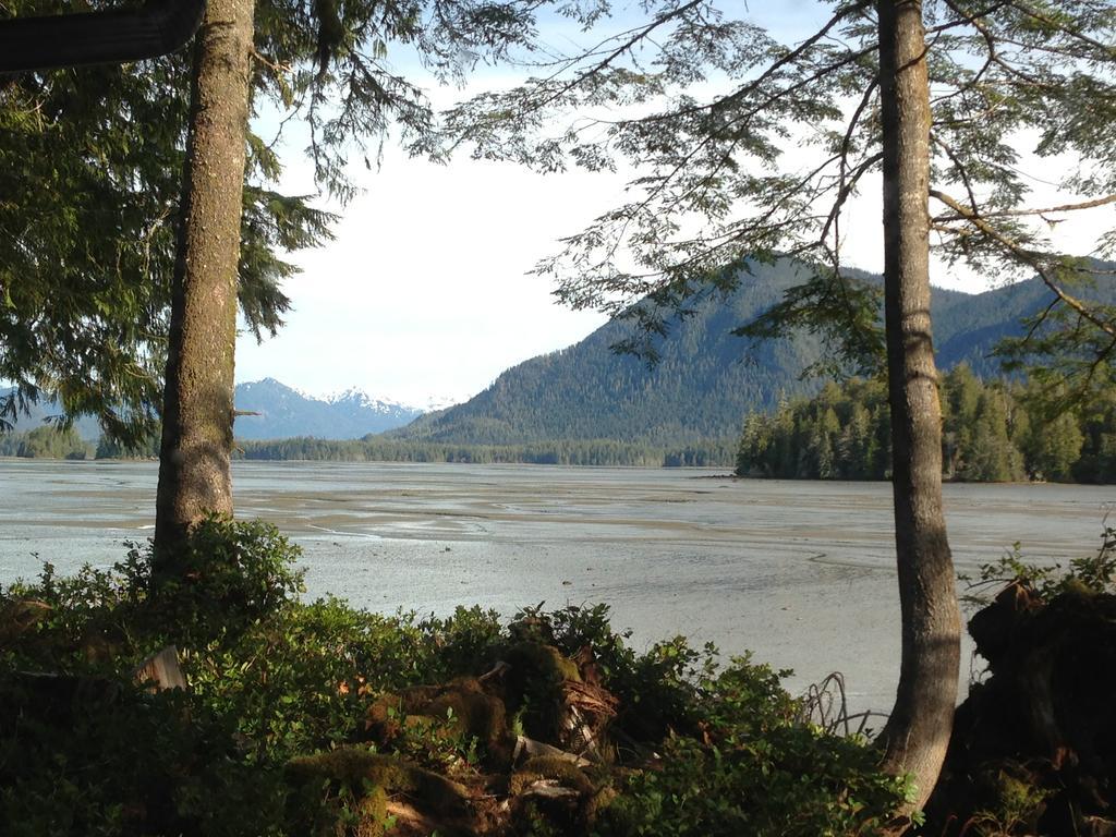 Black Bear Tofino