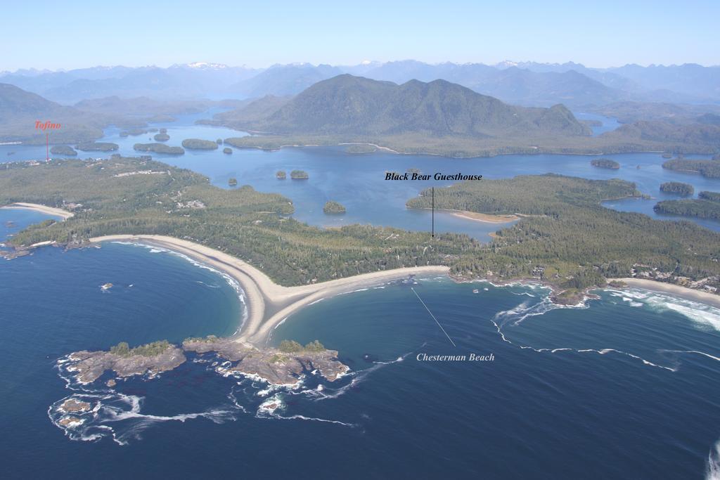 Black Bear Tofino