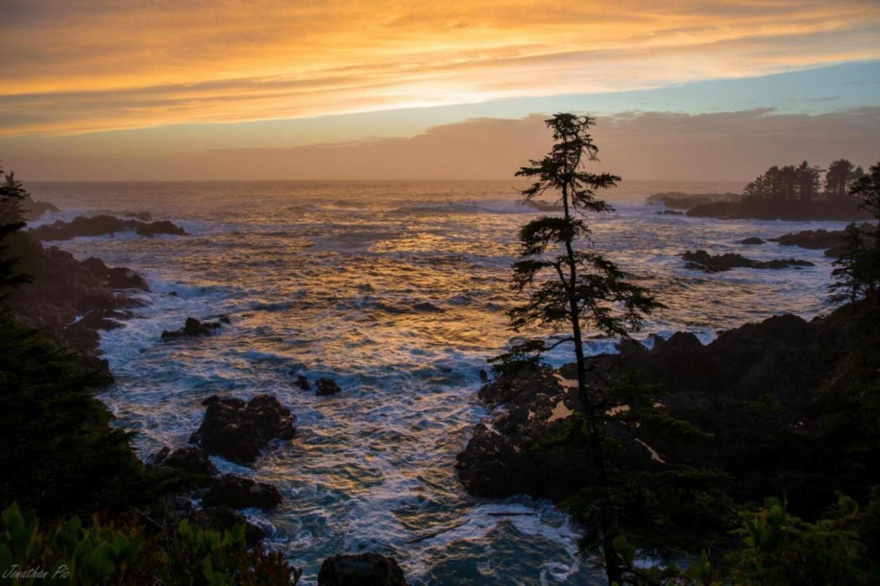 Waterfront Timber Frame Cottage! Ucluelet