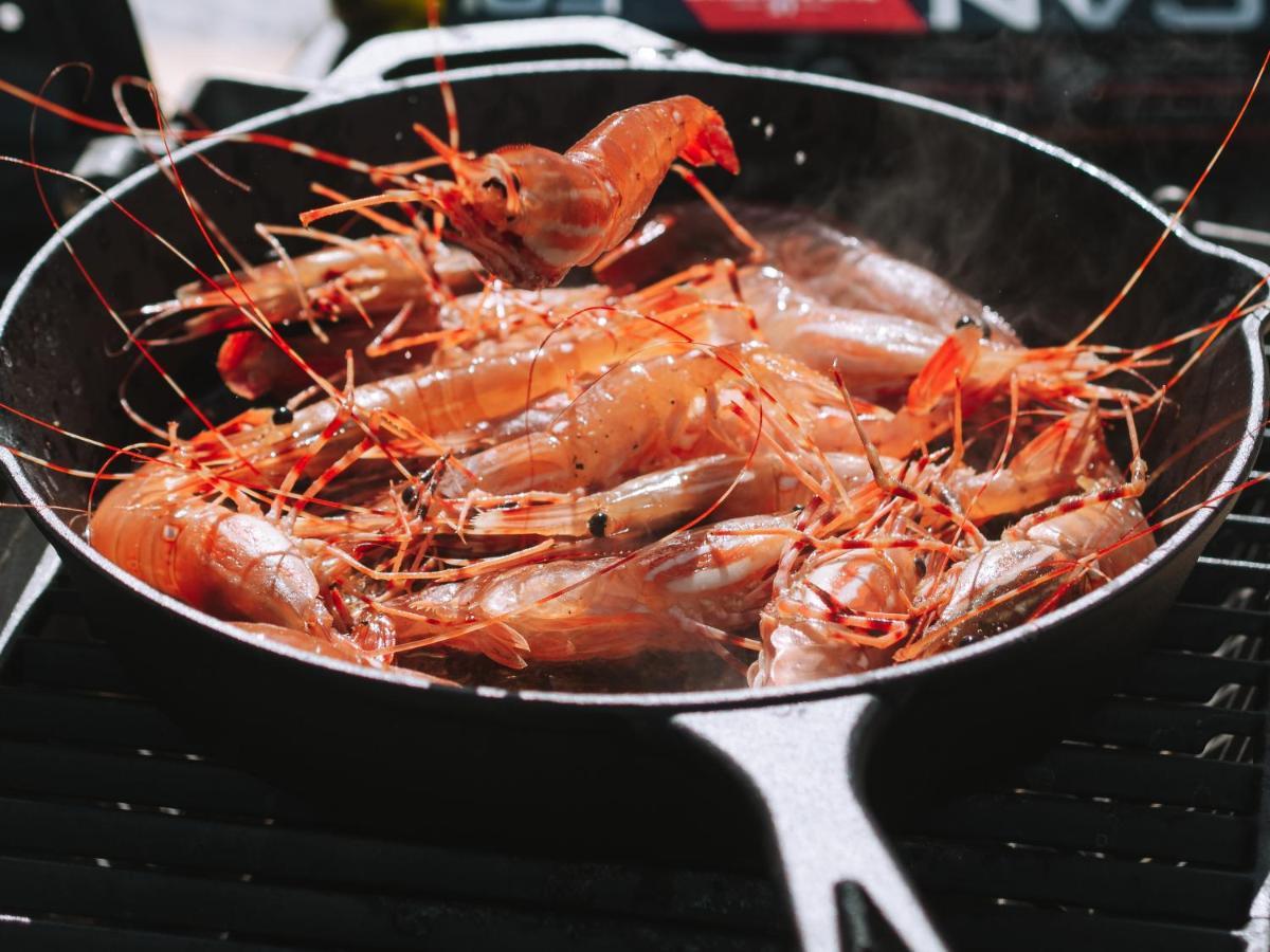 Lunar Cove Charters And Tours