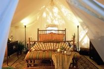 Clayoquot Wilderness Hotel Tofino
