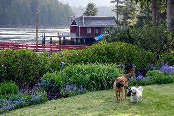 Lodge Swell Tofino