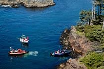 Clayoquot Wilderness 4*
